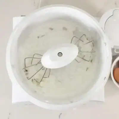 bosch universal plus dual wire whip